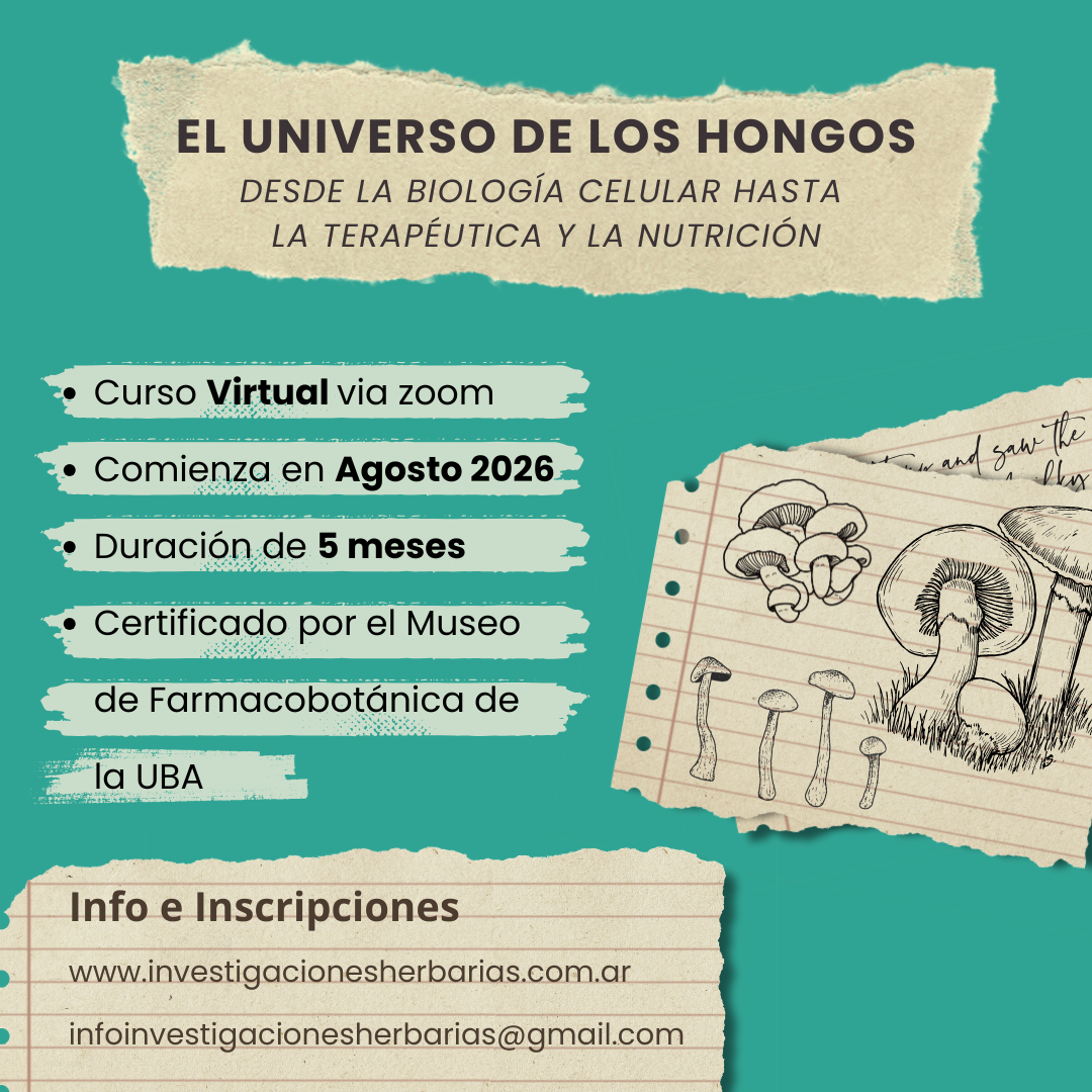 Biblioteca